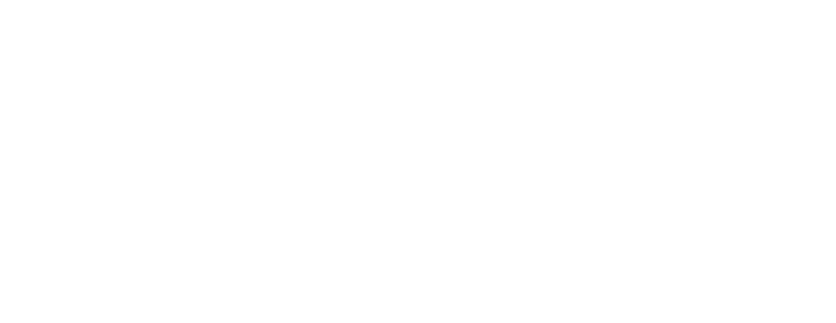 Pare-brise Flash